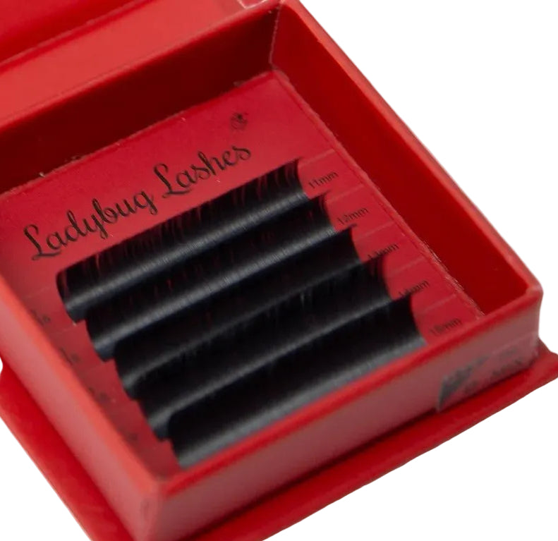 ladybuglashes lashglue lashtrays lashadhesive glueretention cloverlashes wlashes yylashes premades promades lashes