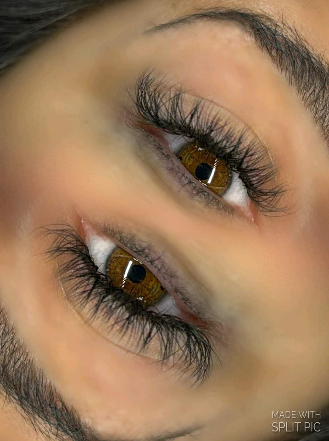 Ladybug Lashes YY Lash Sample Tray