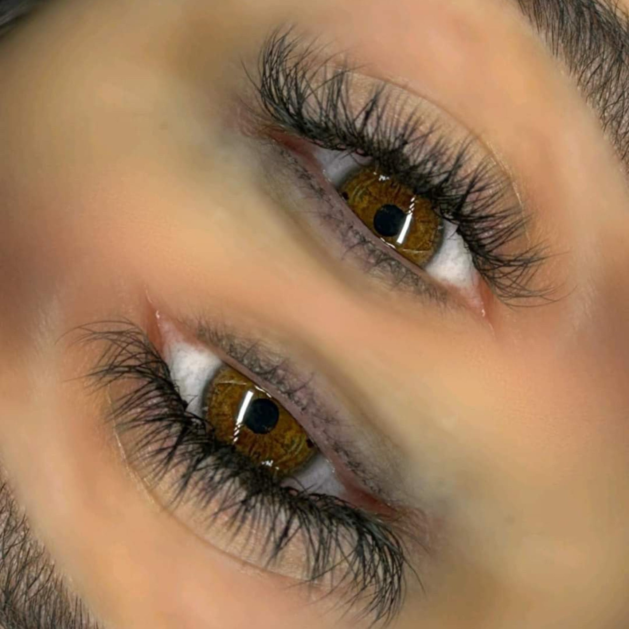 Ladybug Lashes YY Lash Sample Tray