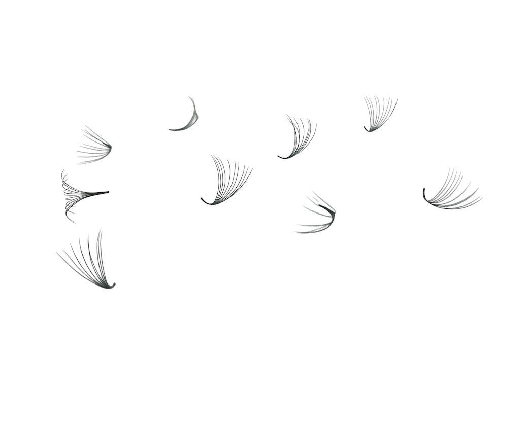 ladybuglashes lashglue lashtrays lashadhesive glueretention cloverlashes wlashes yylashes premades promades lashes