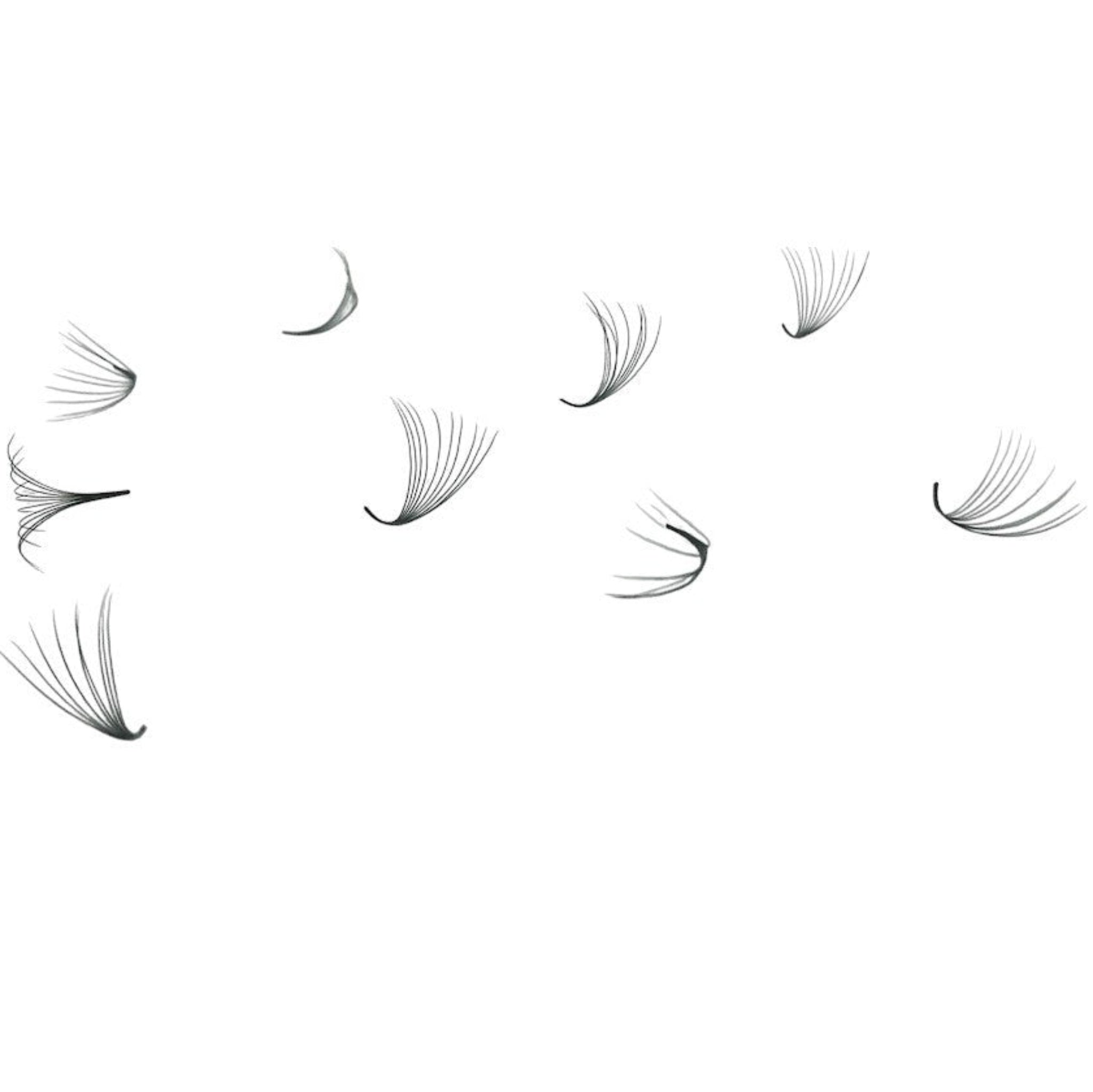 ladybuglashes lashglue lashtrays lashadhesive glueretention cloverlashes wlashes yylashes premades promades lashes