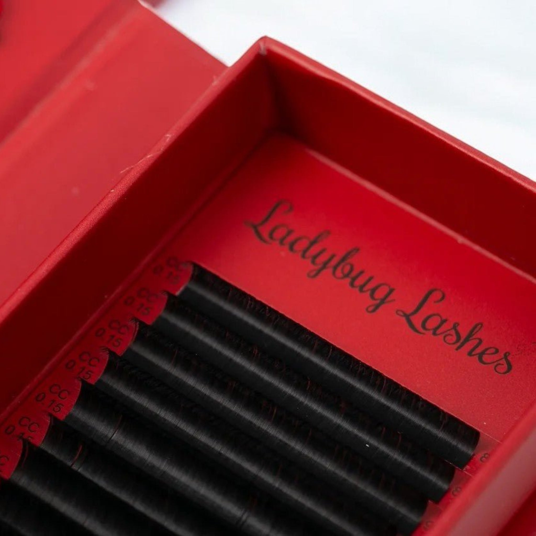 ladybuglashes lashglue lashtrays lashadhesive glueretention cloverlashes wlashes yylashes premades promades lashes