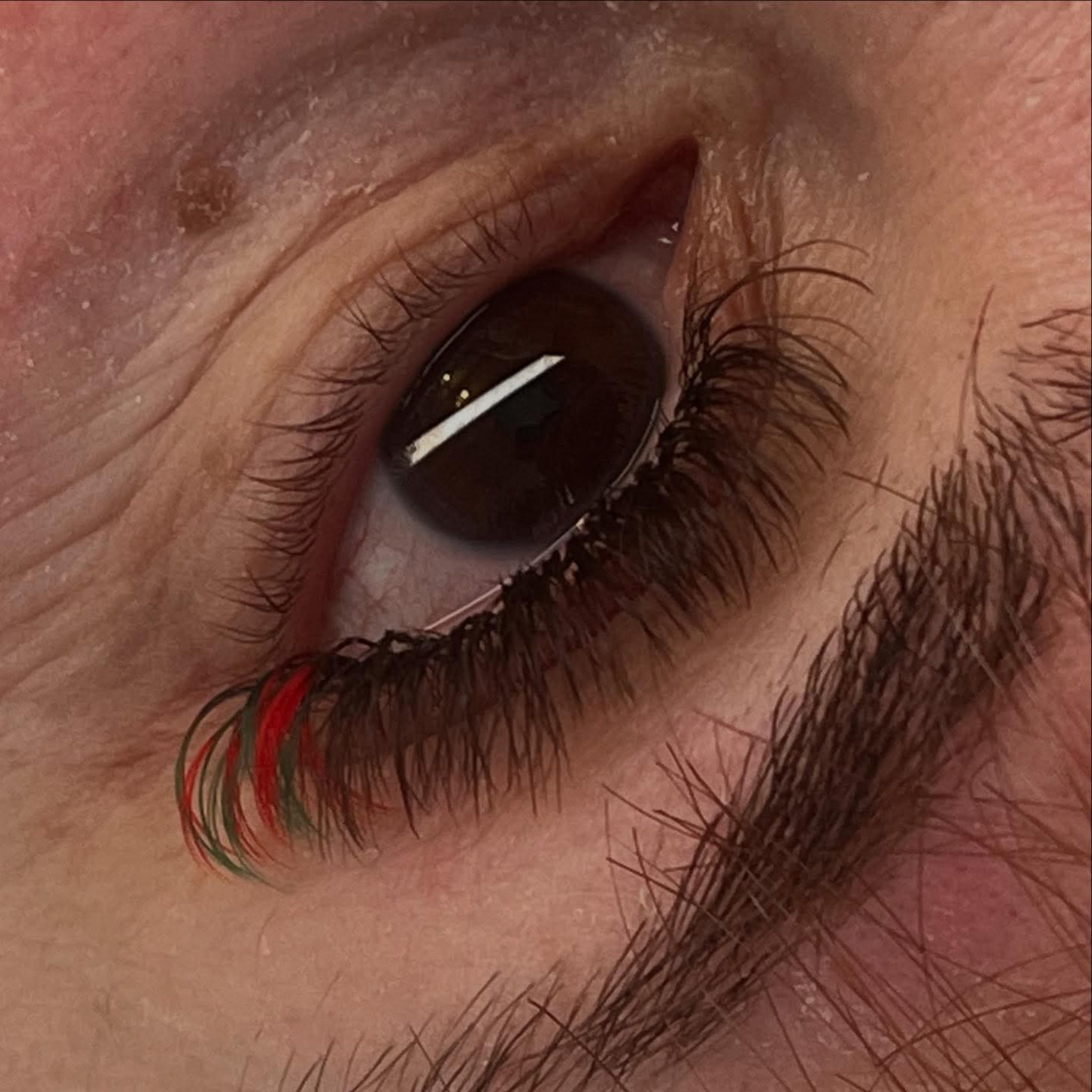 Ladybug Lashes Colour Volume Lashes application result extreme close-up showing open dark brown eye of a fair-skinned mature client wearing black volume lash extensions with red and green colour tips at the outer corner from diagonal angle
