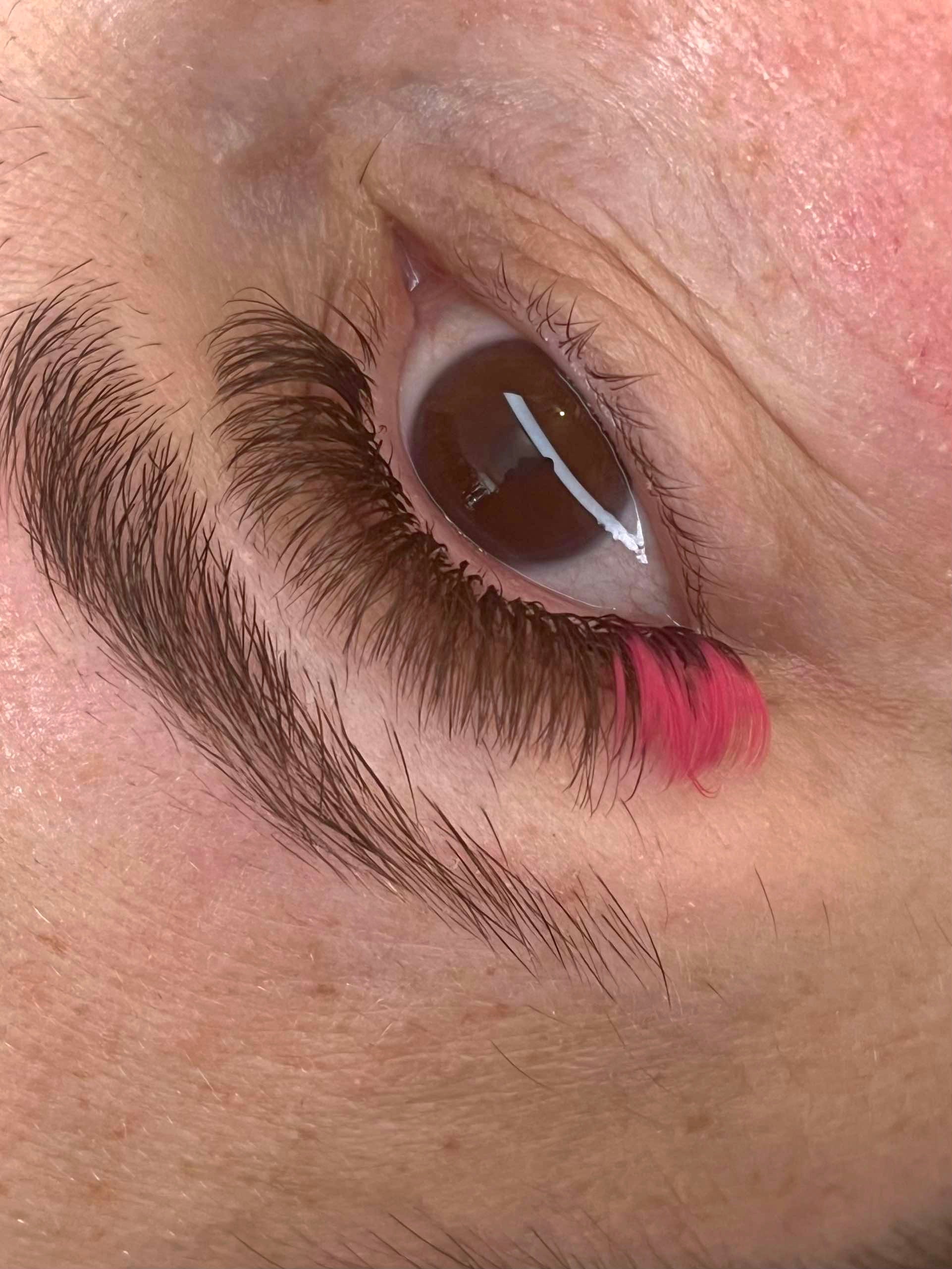 hot pink volume lash tray