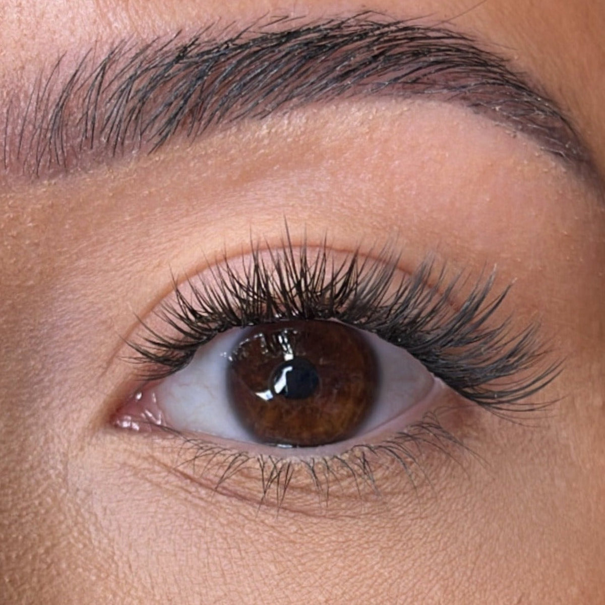 Lash Ribbons Kelly Pre-Styled DIY Lash Clusters – product image 2