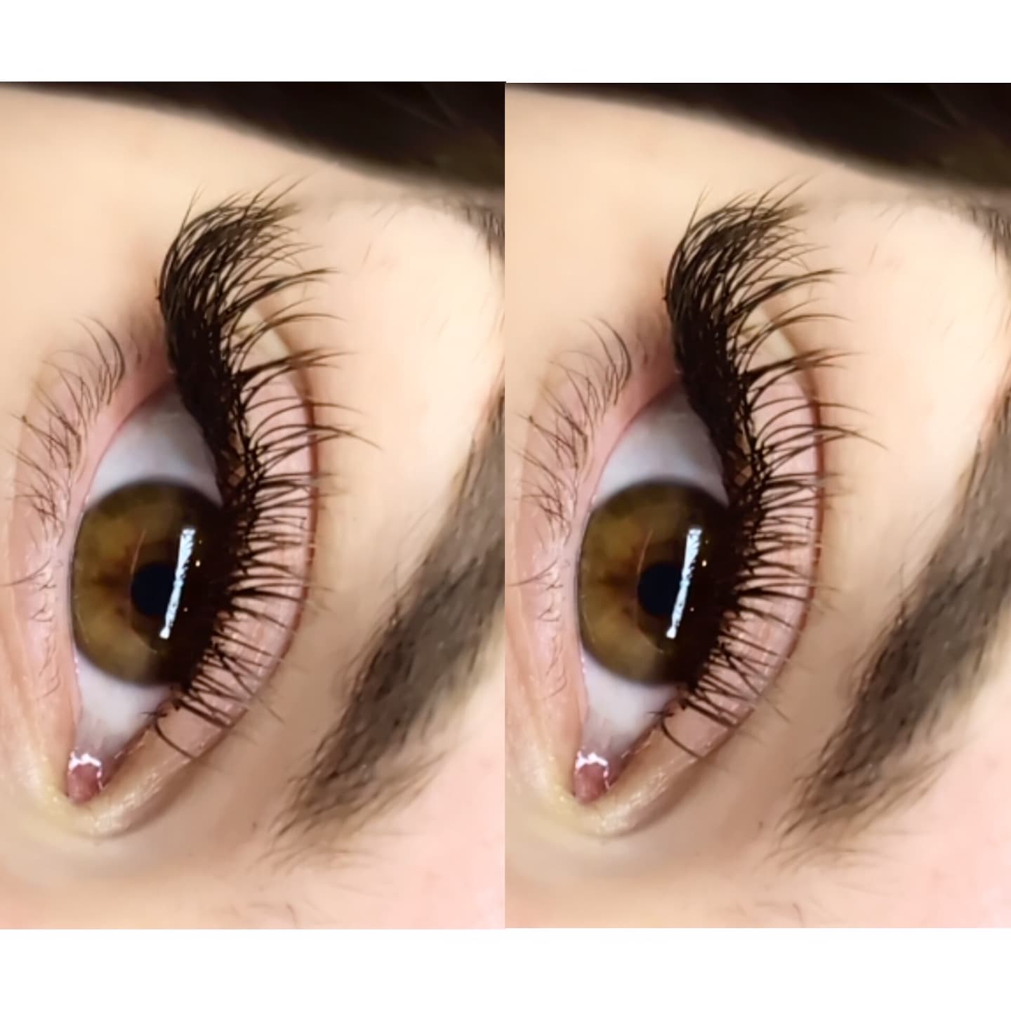 Close-up of a brown eye with long eyelashes on a white background.
