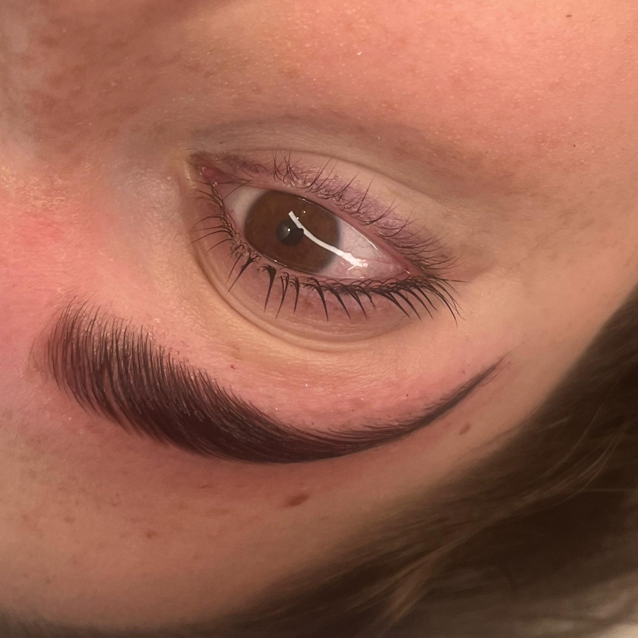 Ladybug Lashes Express Cysteamine Sachet Brow Lamination Kit treatment result extreme close-up showing open brown eye from overhead angle with lifted and separated natural lashes and defined dark laminated brow with fine hair texture clearly visible