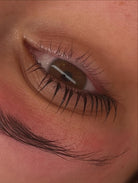 korean lash lift