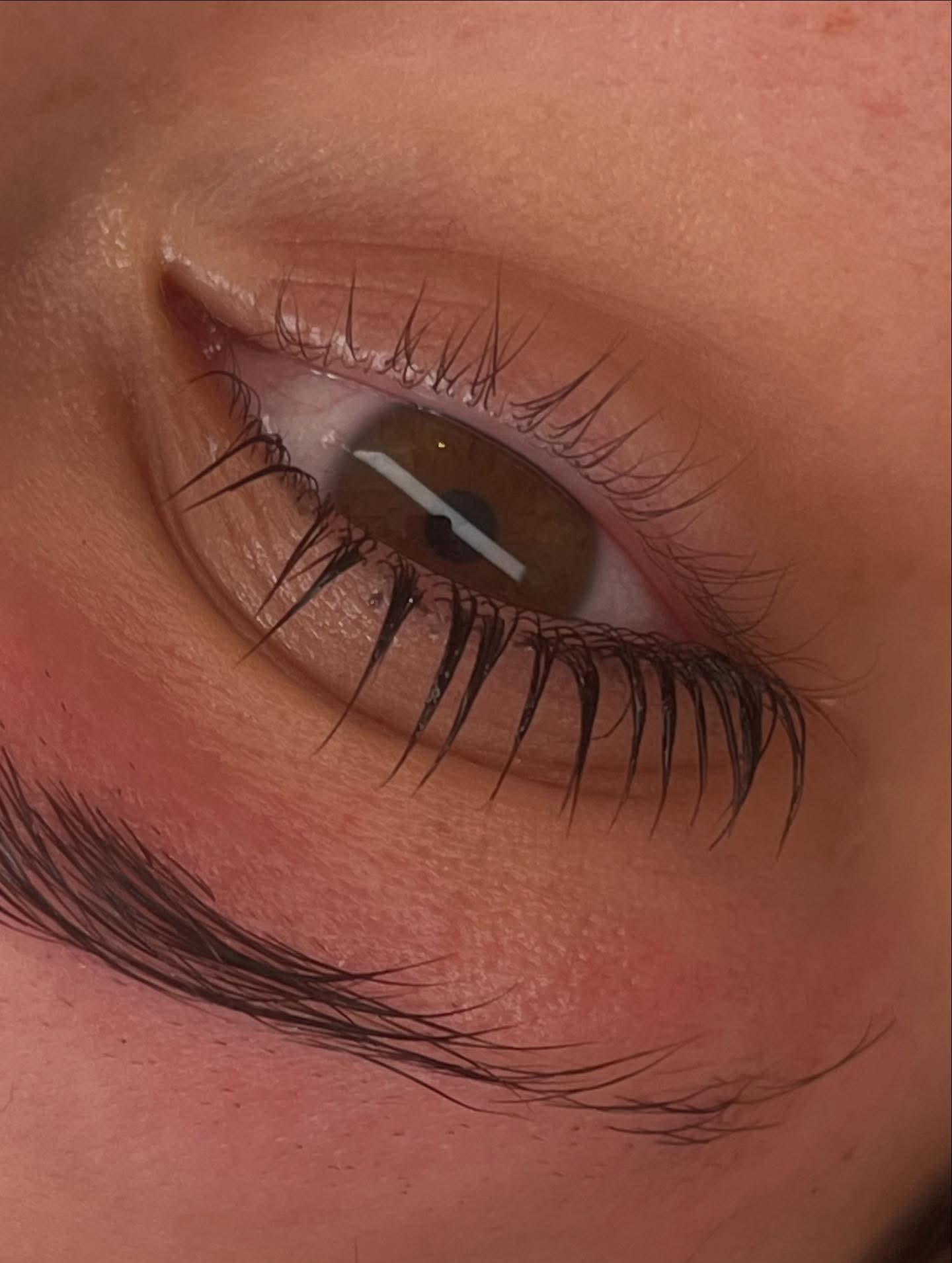 korean lash lift
