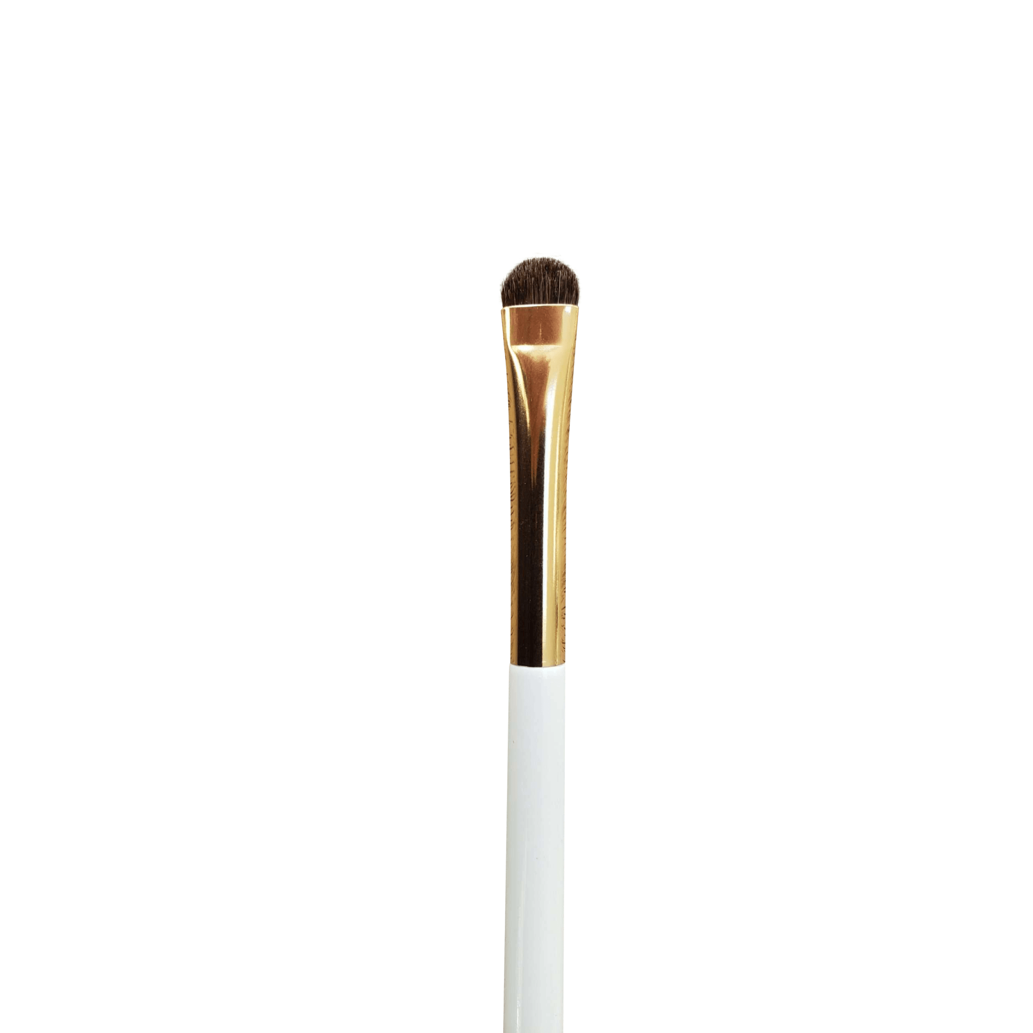 ladybuglashes lashglue lashtrays lashadhesive glueretention cloverlashes wlashes yylashes premades promades lashes