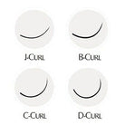 ladybuglashes lashglue lashtrays lashadhesive glueretention cloverlashes wlashes yylashes premades promades lashes
