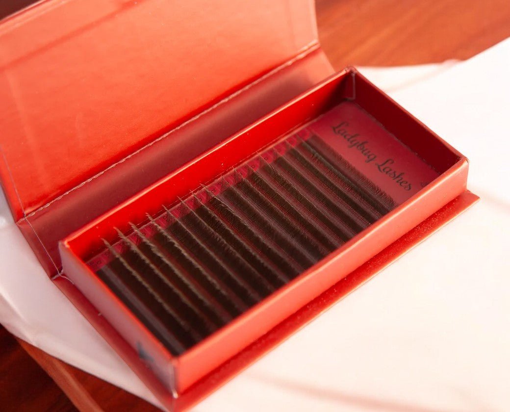 ladybuglashes lashglue lashtrays lashadhesive glueretention cloverlashes wlashes yylashes premades promades lashes