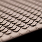 Close-up of Ladybug Lashes Platinum Promade Ultra Black C curl 0.03 fans showing row labels and curl definition from side angle