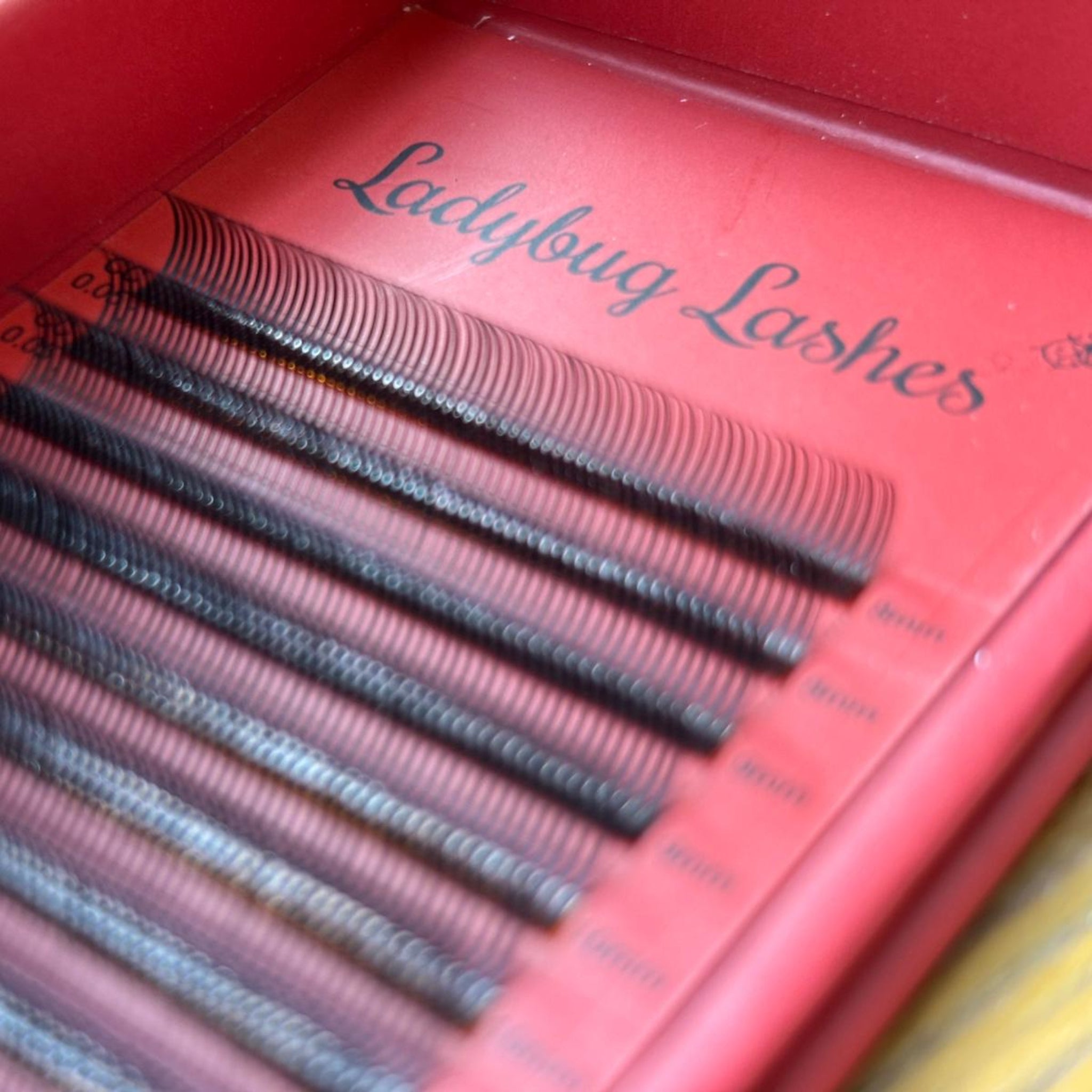ladybuglashes lashglue lashtrays lashadhesive glueretention cloverlashes wlashes yylashes premades promades lashes