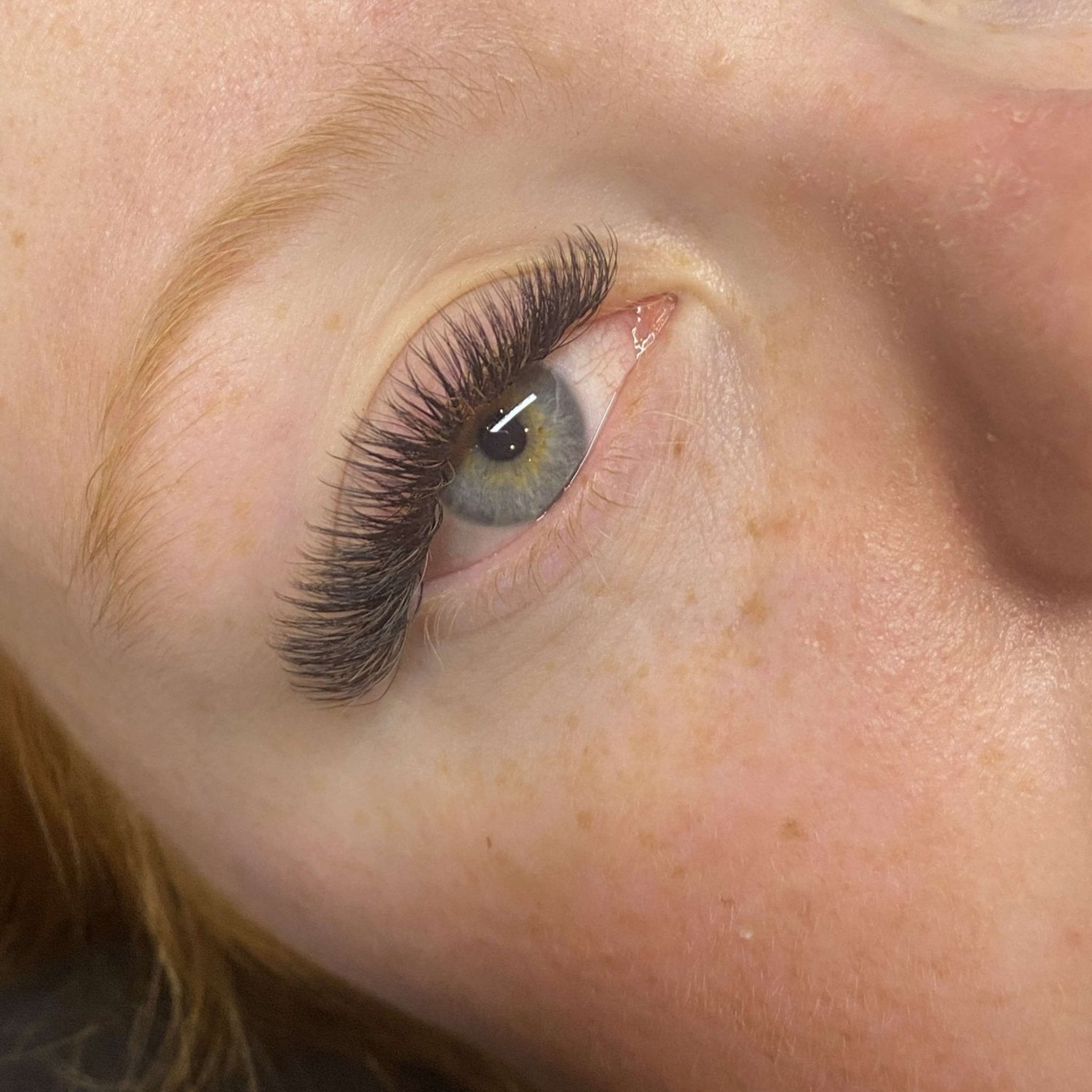 ladybuglashes lashglue lashtrays lashadhesive glueretention cloverlashes wlashes yylashes premades promades lashes