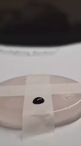 Easy Dipping Video