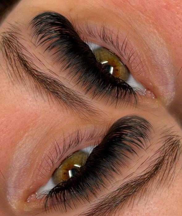 ladybuglashes lashglue lashtrays lashadhesive glueretention cloverlashes wlashes yylashes premades promades lashes