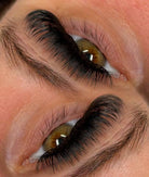 promade/premade lash trays ultra black 8d-20d in C,CC and D cur