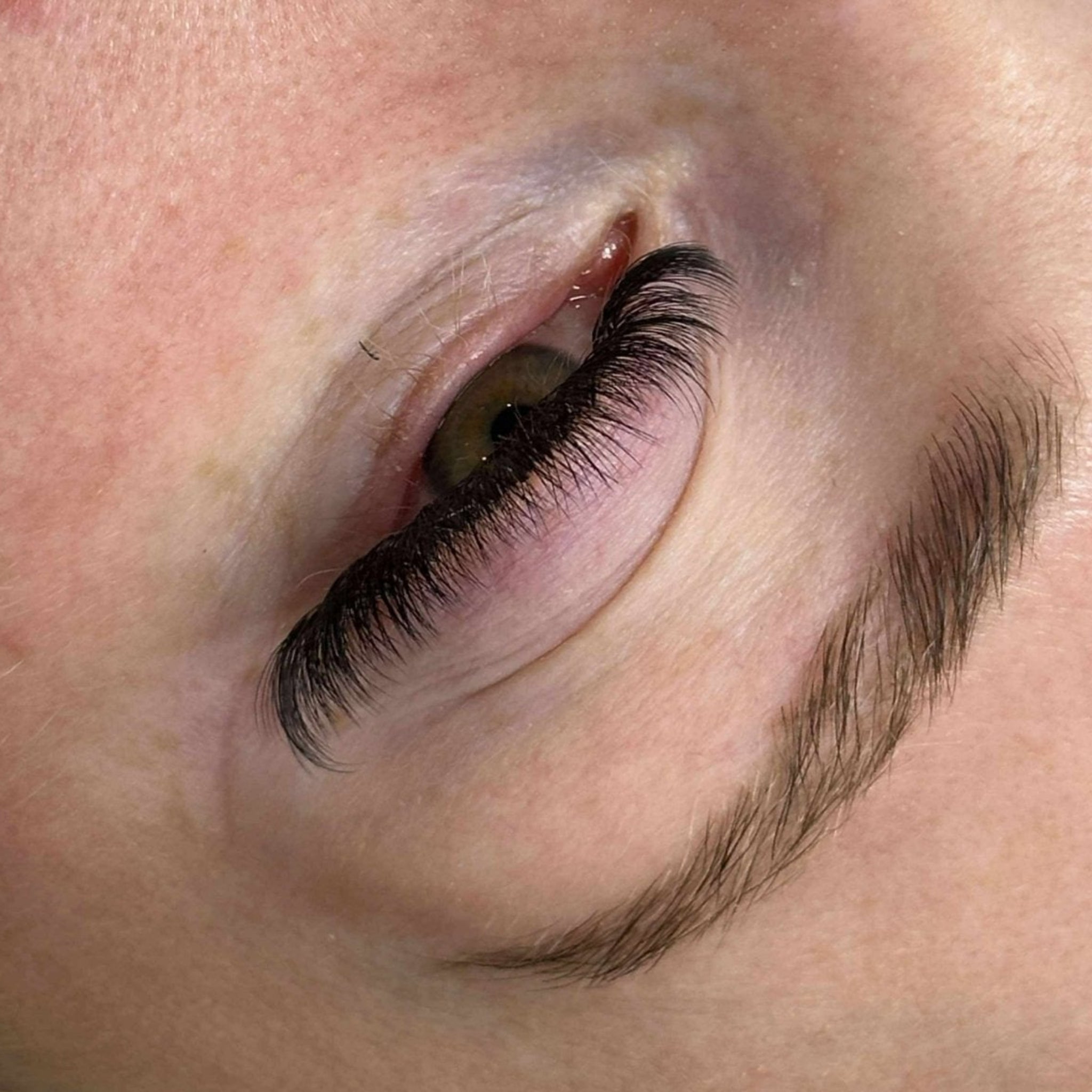 ladybuglashes lashglue lashtrays lashadhesive glueretention cloverlashes wlashes yylashes premades promades lashes