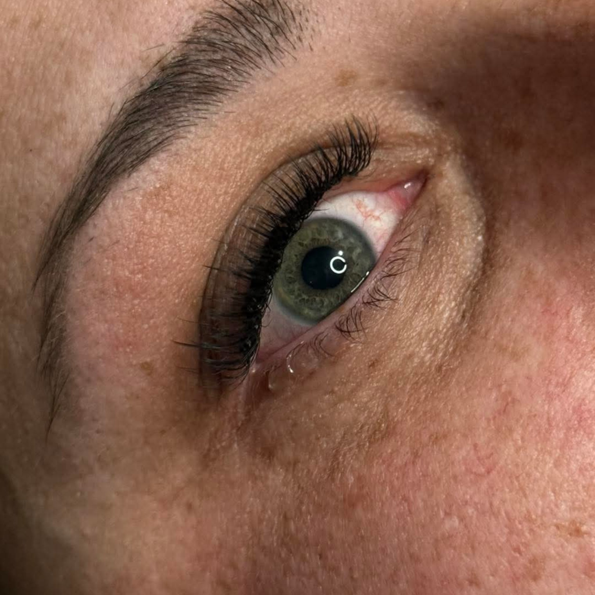 ladybuglashes lashglue lashtrays lashadhesive glueretention cloverlashes wlashes yylashes premades promades lashes