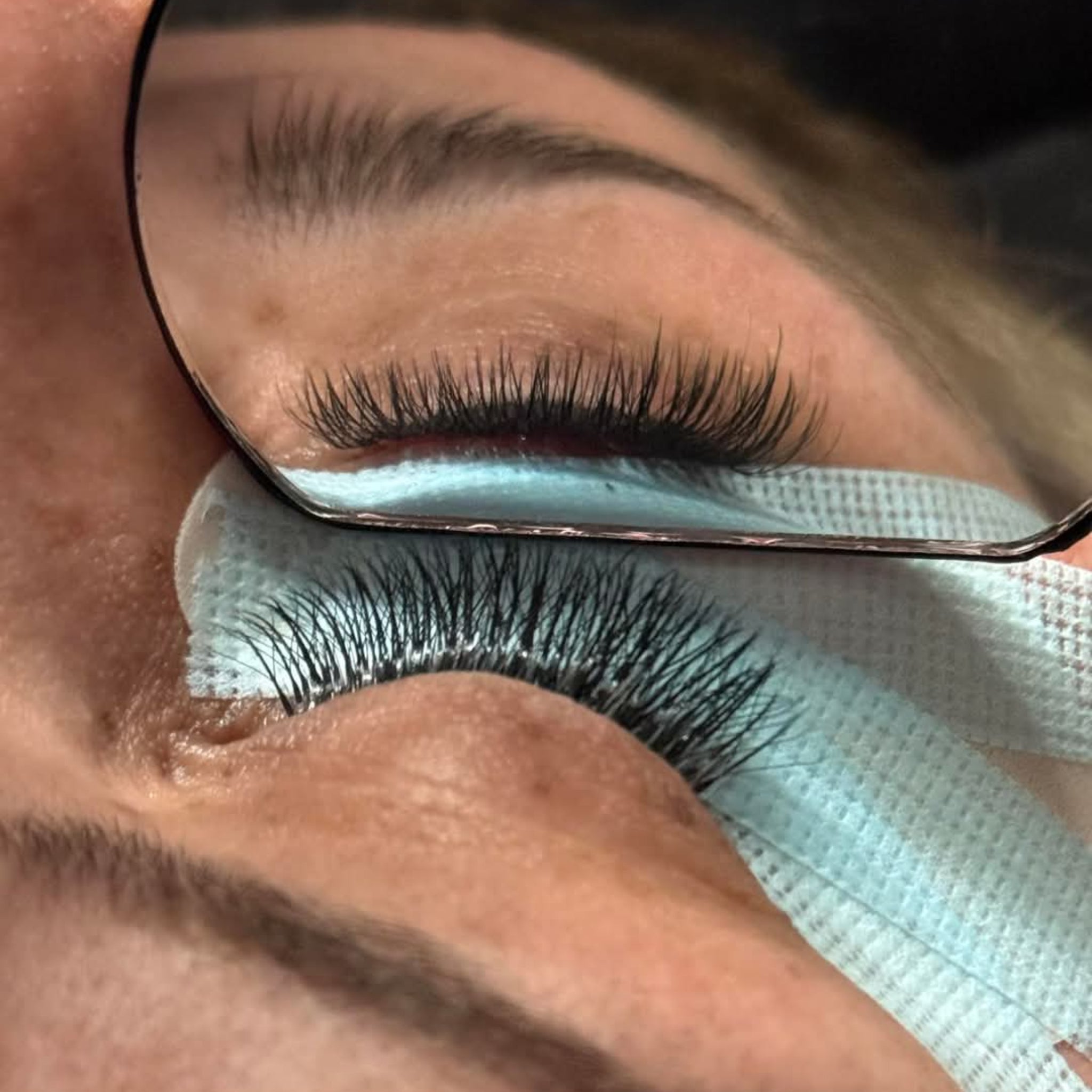 ladybuglashes lashglue lashtrays lashadhesive glueretention cloverlashes wlashes yylashes premades promades lashes