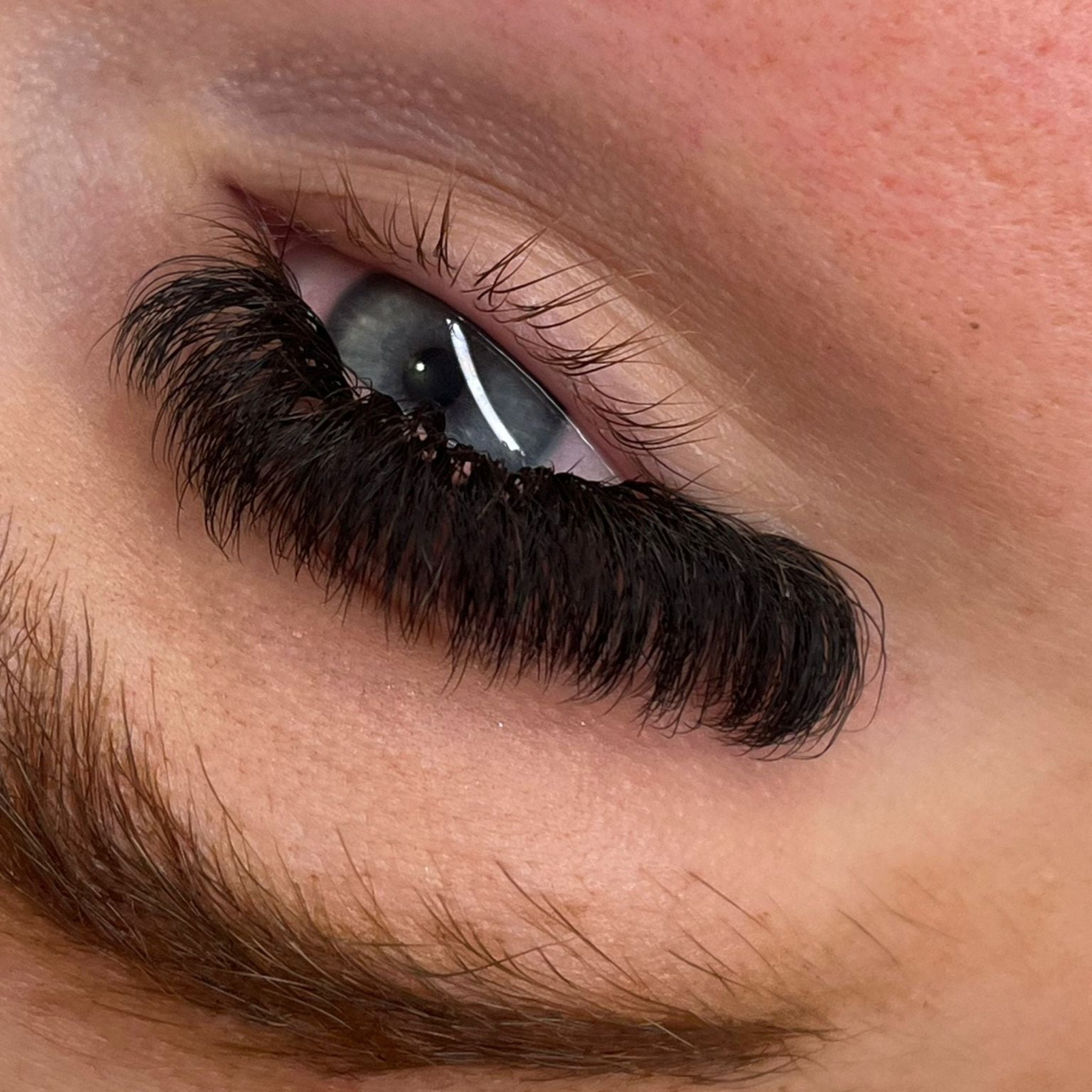 10D Clover Lashes 16 row mixed box