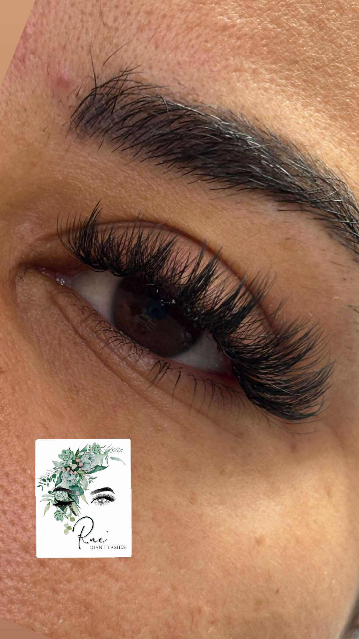 ladybuglashes lashglue lashtrays lashadhesive glueretention cloverlashes wlashes yylashes premades promades lashes