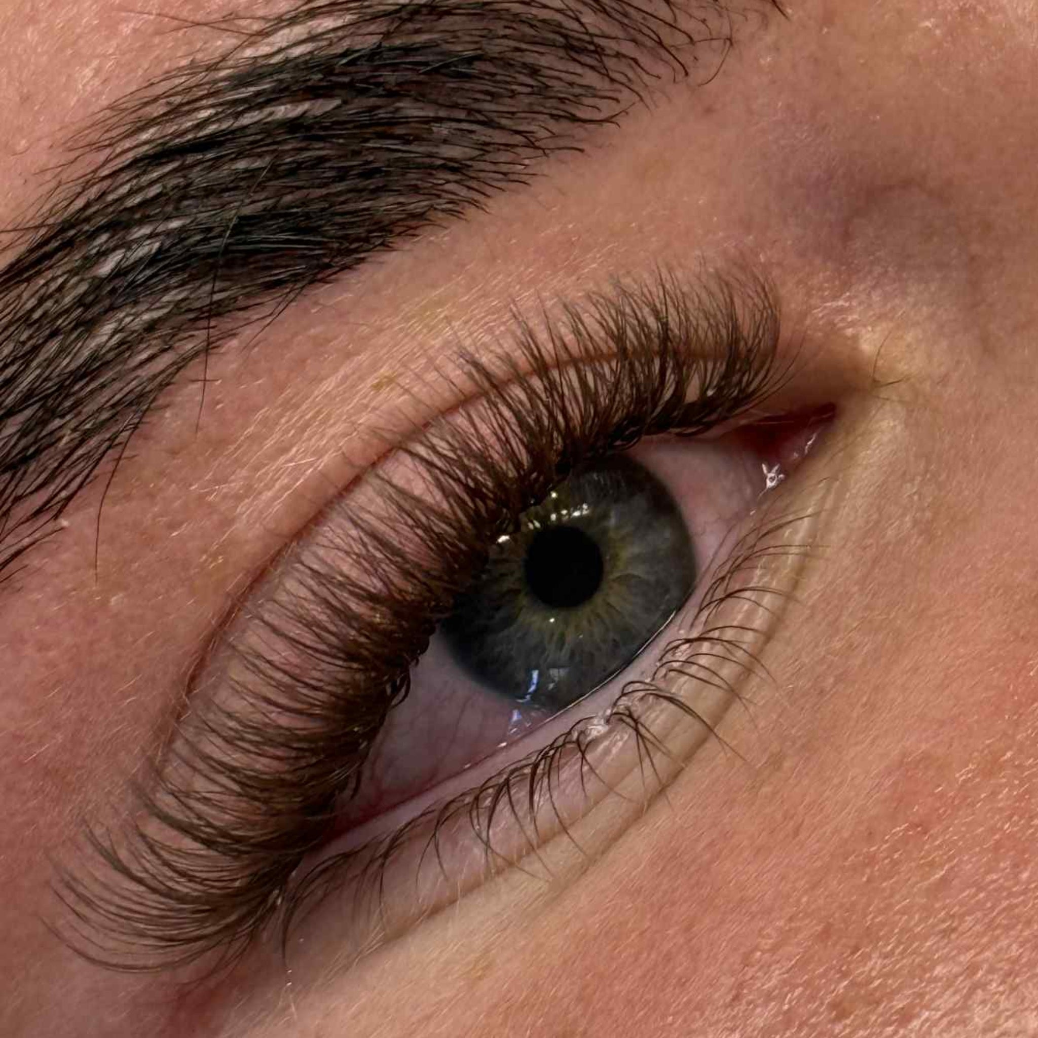 ladybuglashes lashglue lashtrays lashadhesive glueretention cloverlashes wlashes yylashes premades promades lashes
