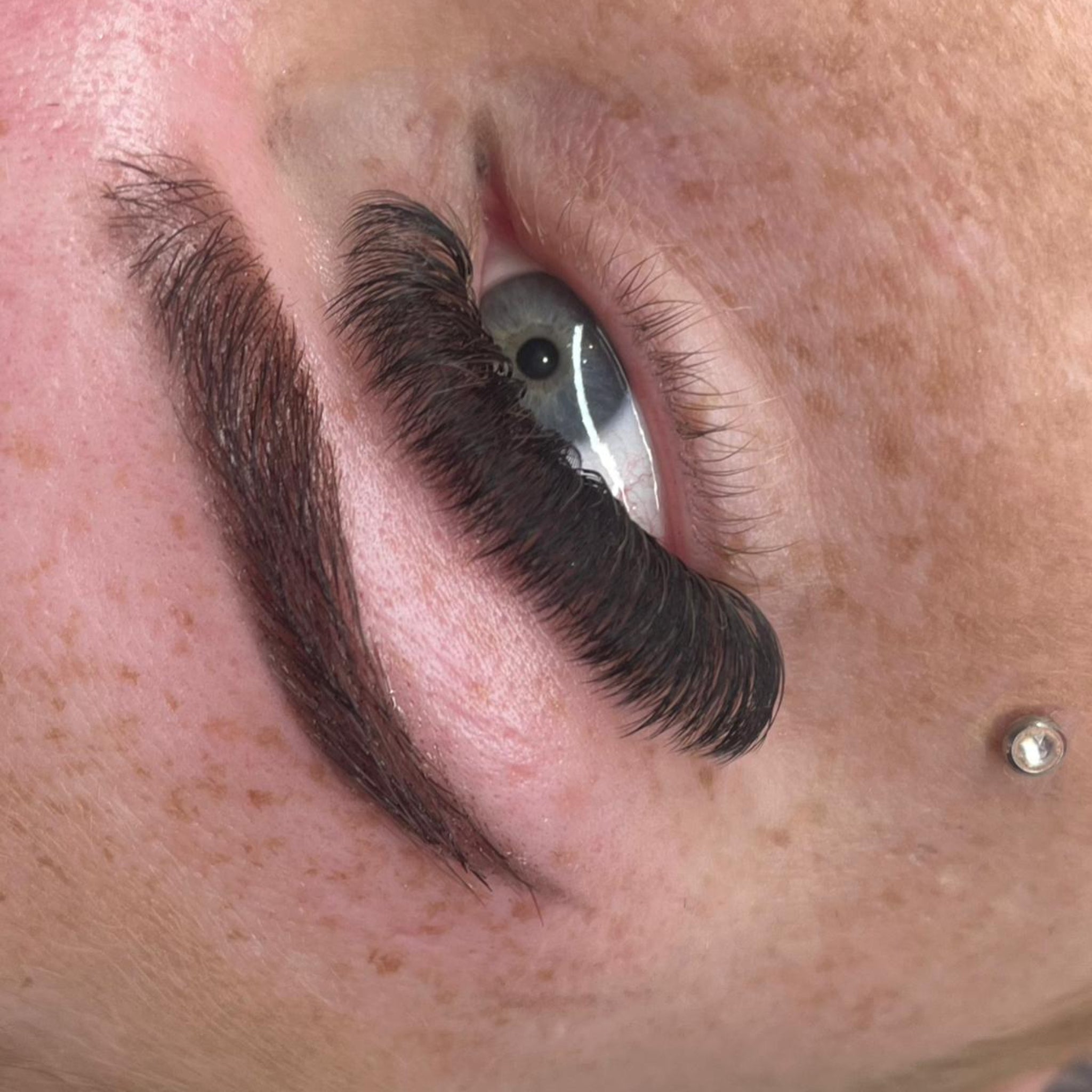 ladybuglashes lashglue lashtrays lashadhesive glueretention cloverlashes wlashes yylashes premades promades lashes