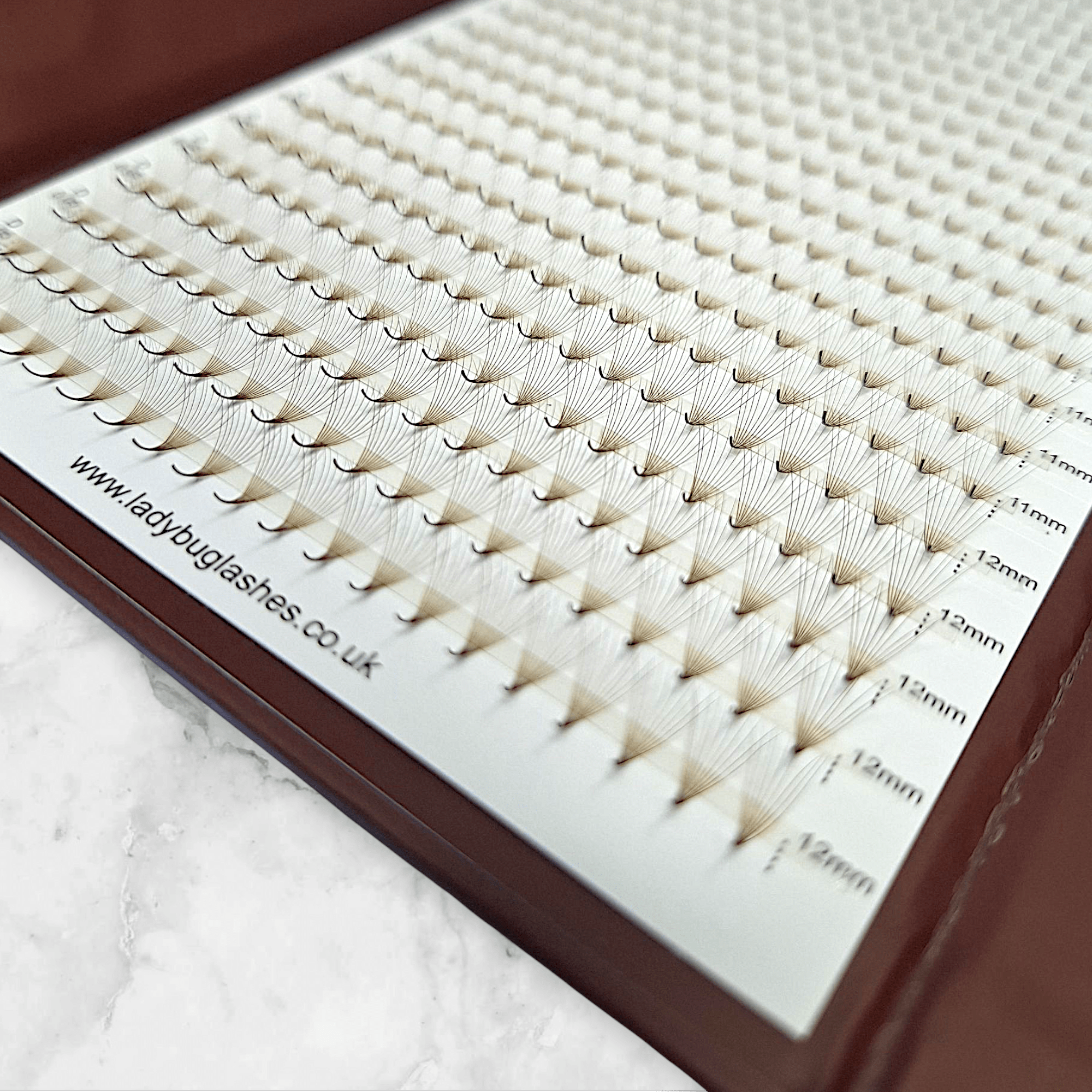 ladybuglashes lashglue lashtrays lashadhesive glueretention cloverlashes wlashes yylashes premades promades lashes