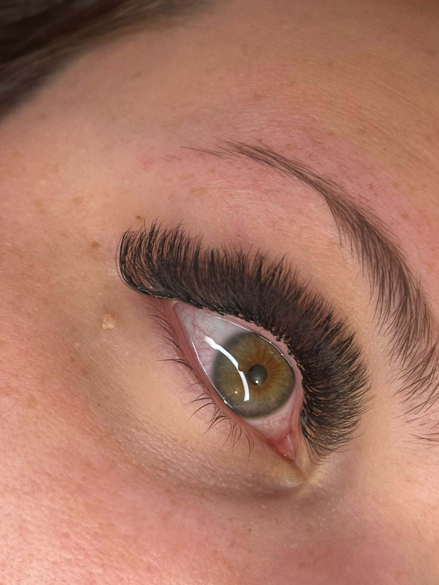 8D Clover Lashes 16 row mixed tray