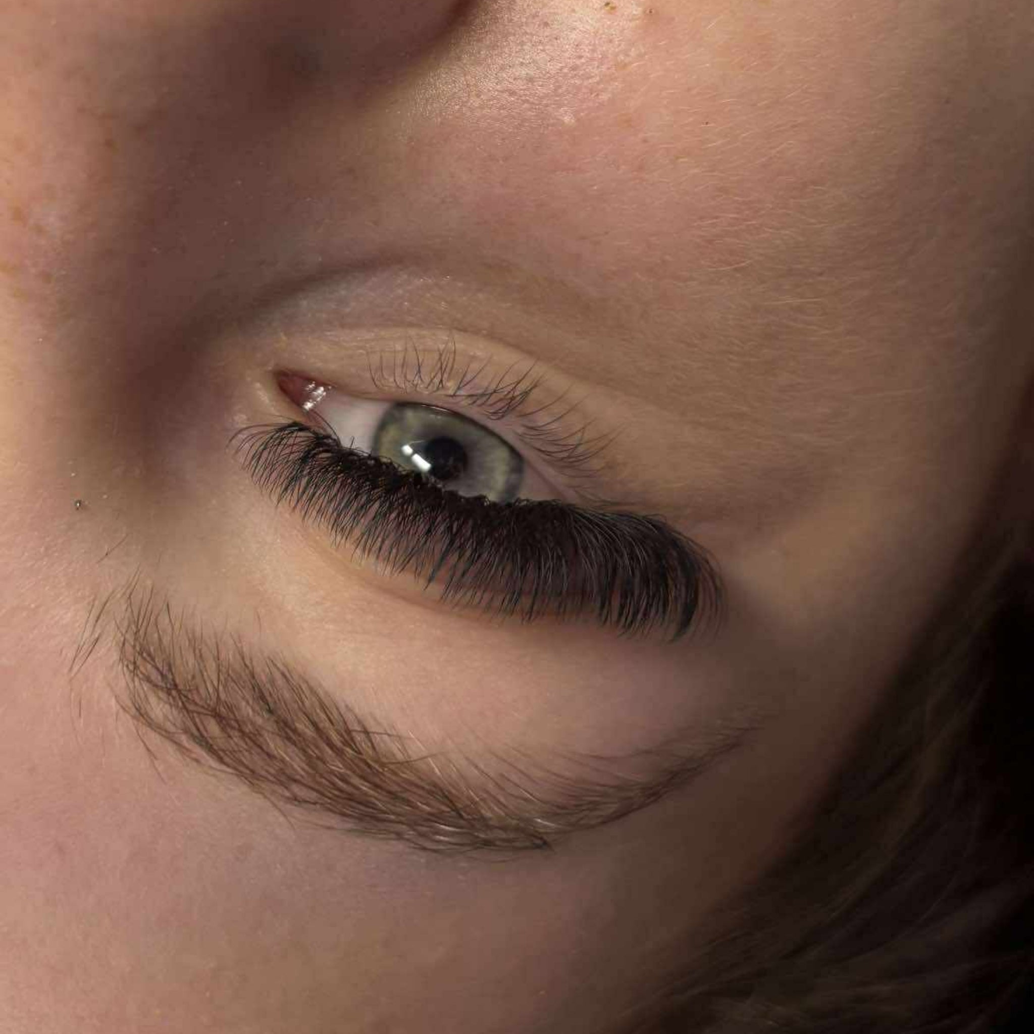 8D Clover Lashes 16 row mixed tray