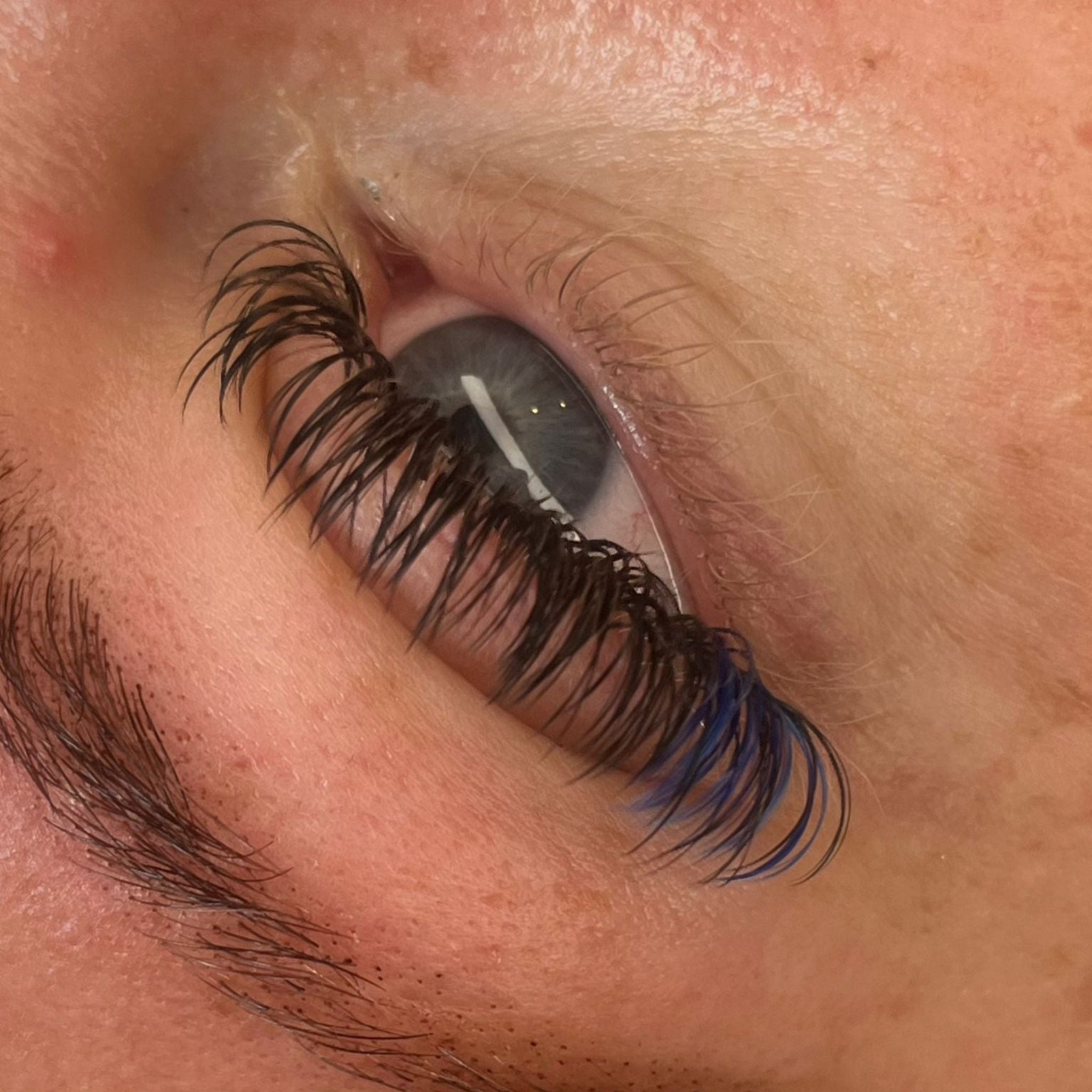 🌈 Bold Colour Volume Lashes 🌈 0.05mm 5-Row Tray 10–14mm Mix