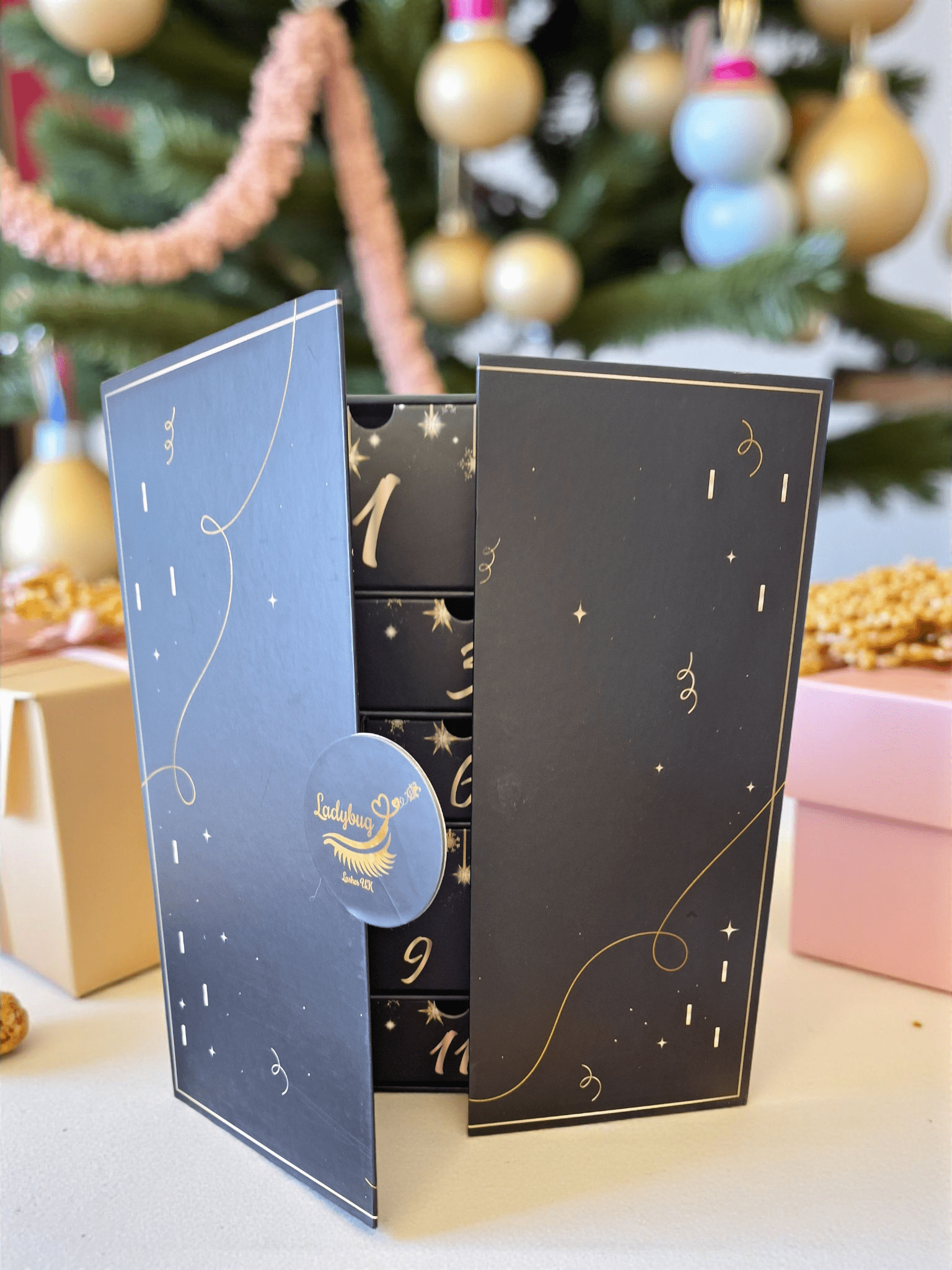 Ladybug Lashes 12 day Calendar - Pre Order