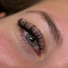 Ladybug Lashes premade Angel Lash fans arranged in rows for professional lash application