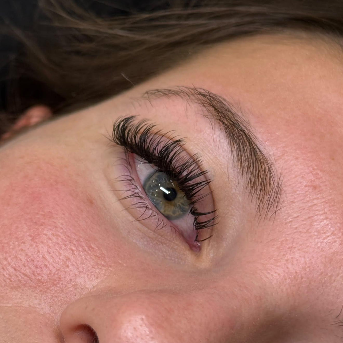 Ladybug Lashes premade 5D Angel Lash closed fans for soft, wispy lash extension sets