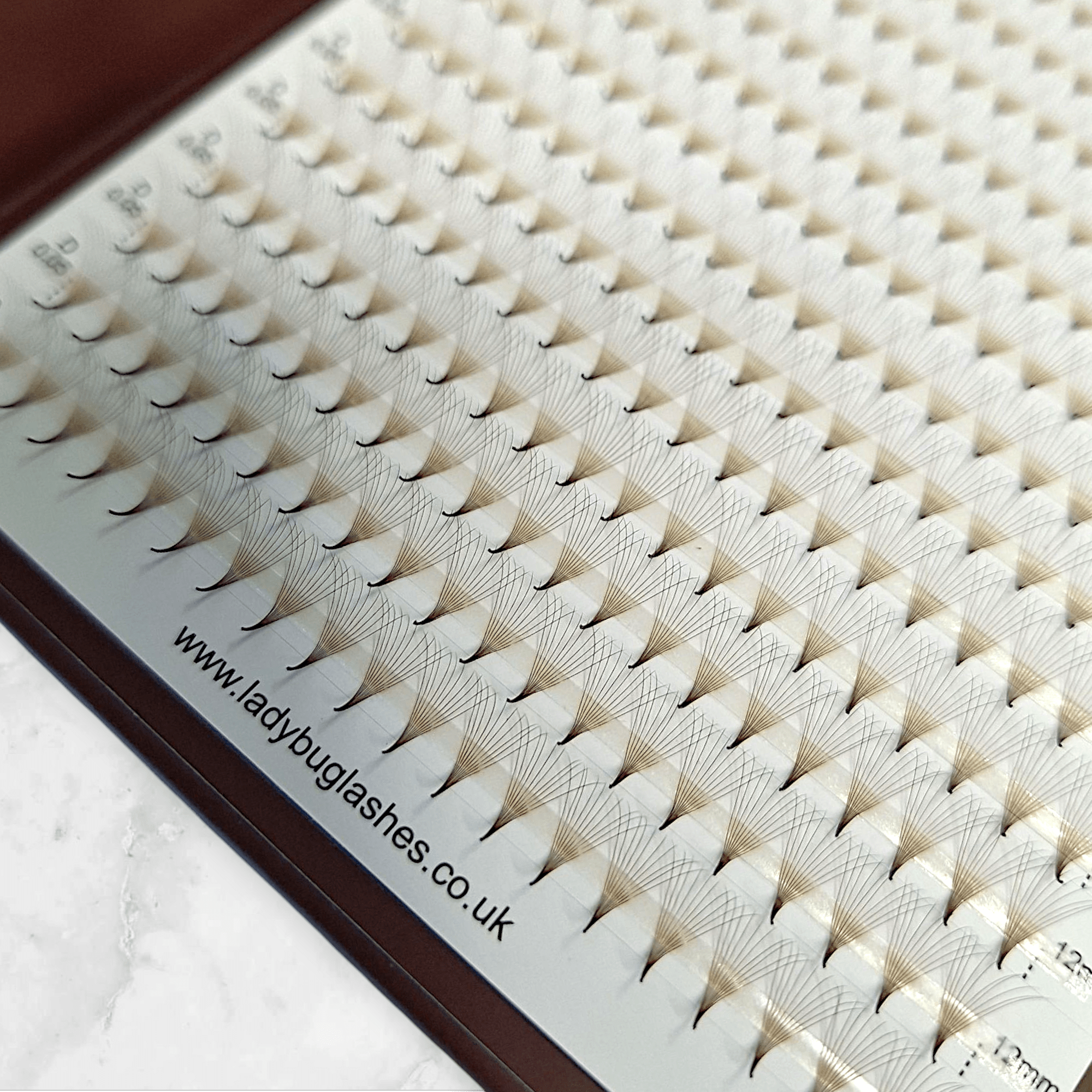 ladybuglashes lashglue lashtrays lashadhesive glueretention cloverlashes wlashes yylashes premades promades lashes