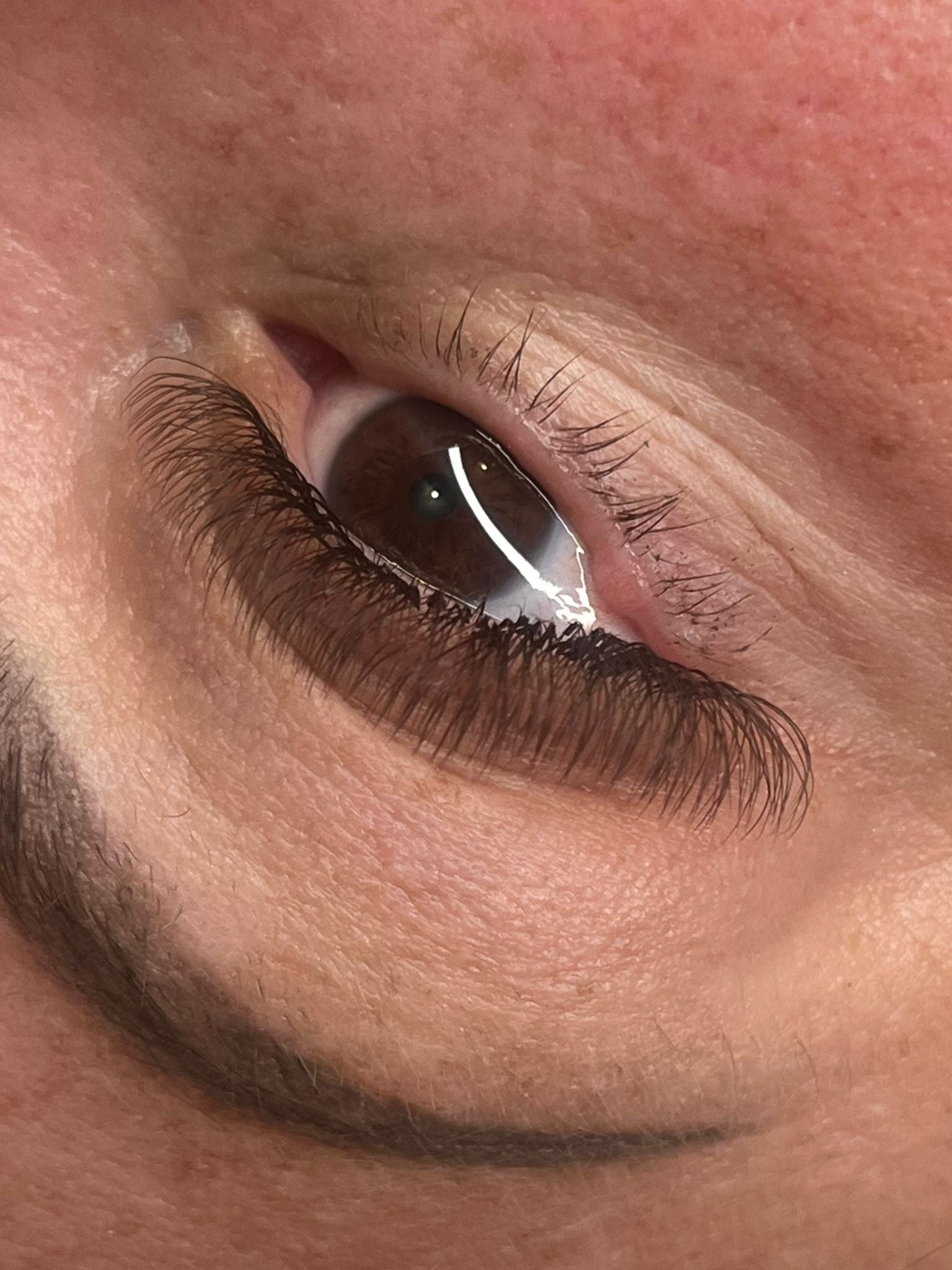 ladybuglashes lashglue lashtrays lashadhesive glueretention cloverlashes wlashes yylashes premades promades lashes