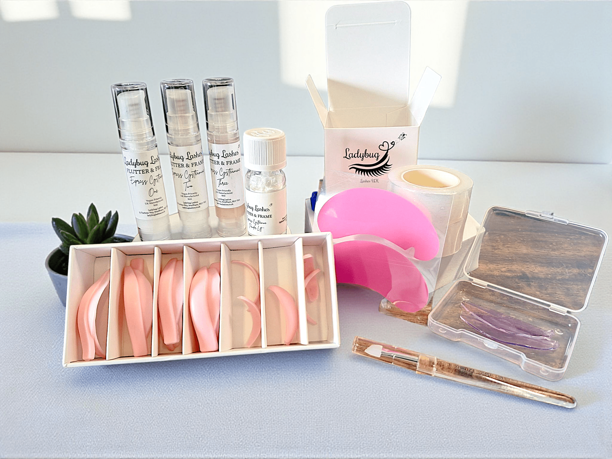 ladybuglashes Online Korean-Inspired Lash Lift Masterclass With Kit