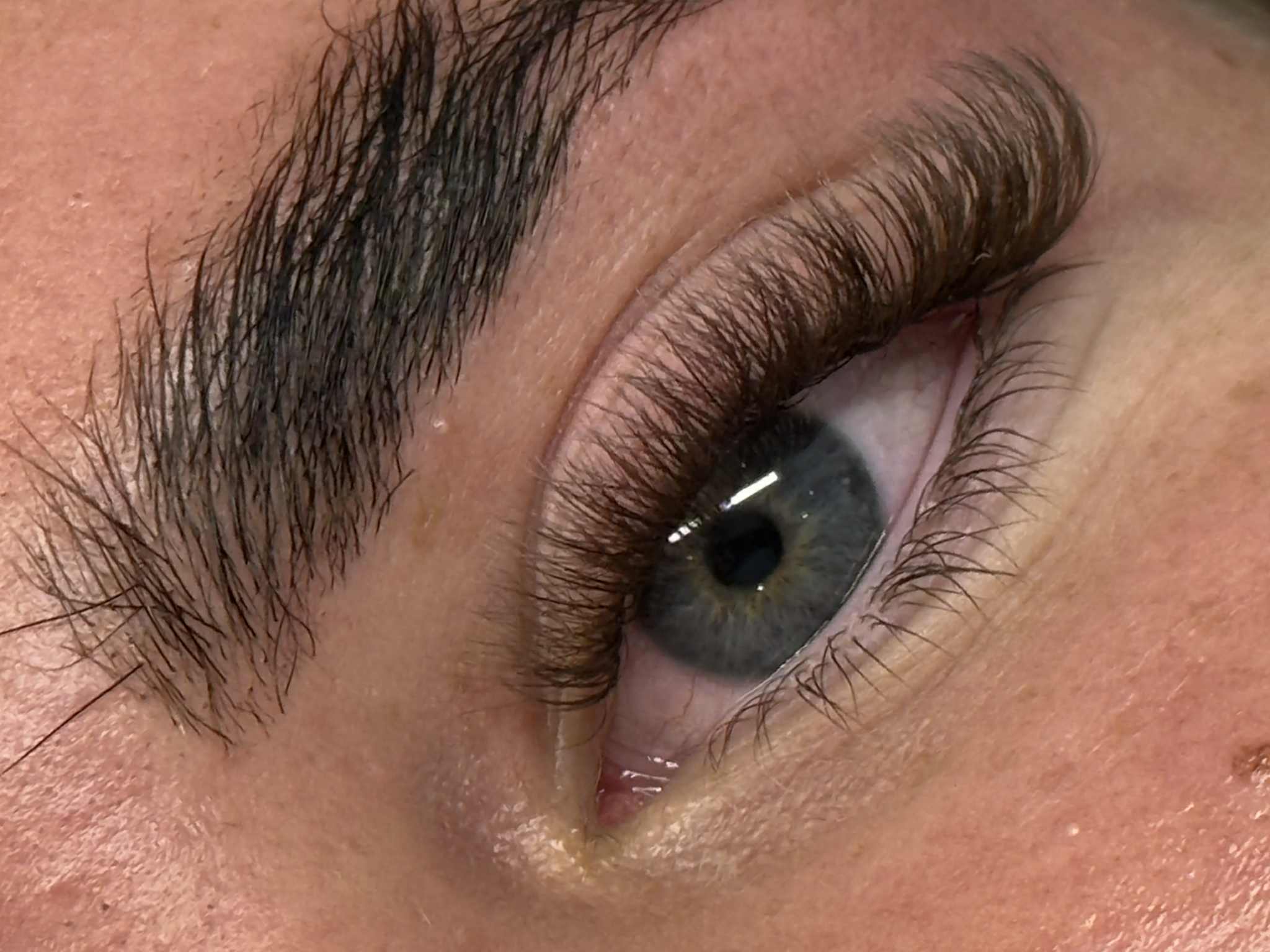 ladybuglashes lashglue lashtrays lashadhesive glueretention cloverlashes wlashes yylashes premades promades lashes