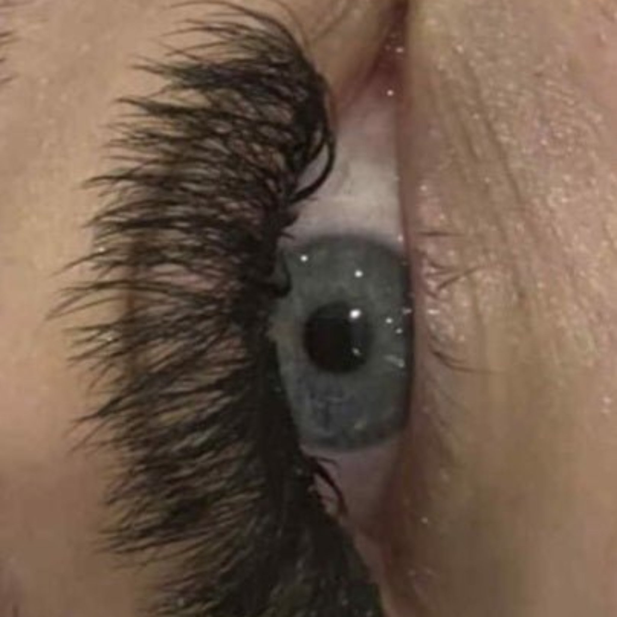 10D Clover Lashes 16 row mixed box