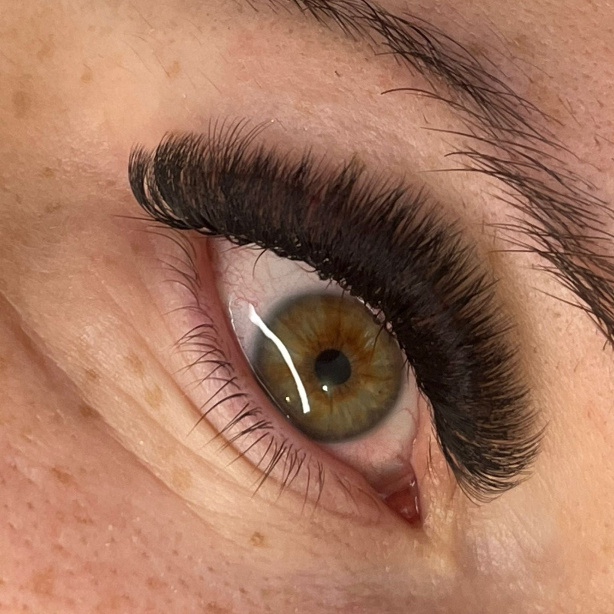 ladybuglashes lashglue lashtrays lashadhesive glueretention cloverlashes wlashes yylashes premades promades lashes