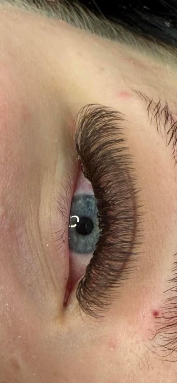 ladybuglashes lashglue lashtrays lashadhesive glueretention cloverlashes wlashes yylashes premades promades lashes