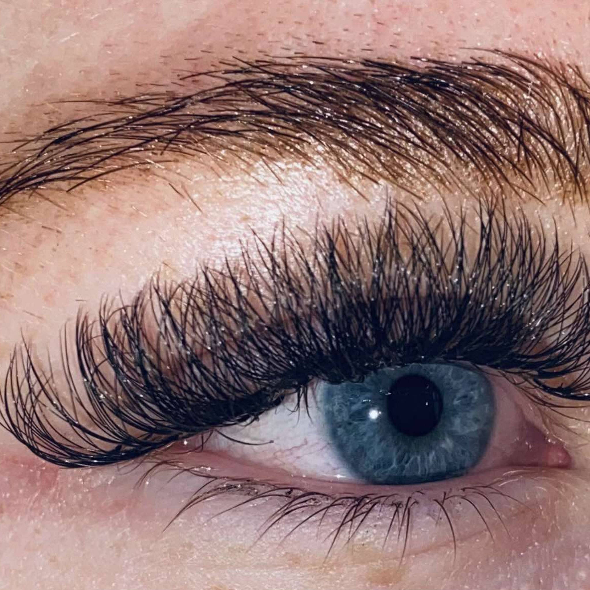 ladybuglashes lashglue lashtrays lashadhesive glueretention cloverlashes wlashes yylashes premades promades lashes