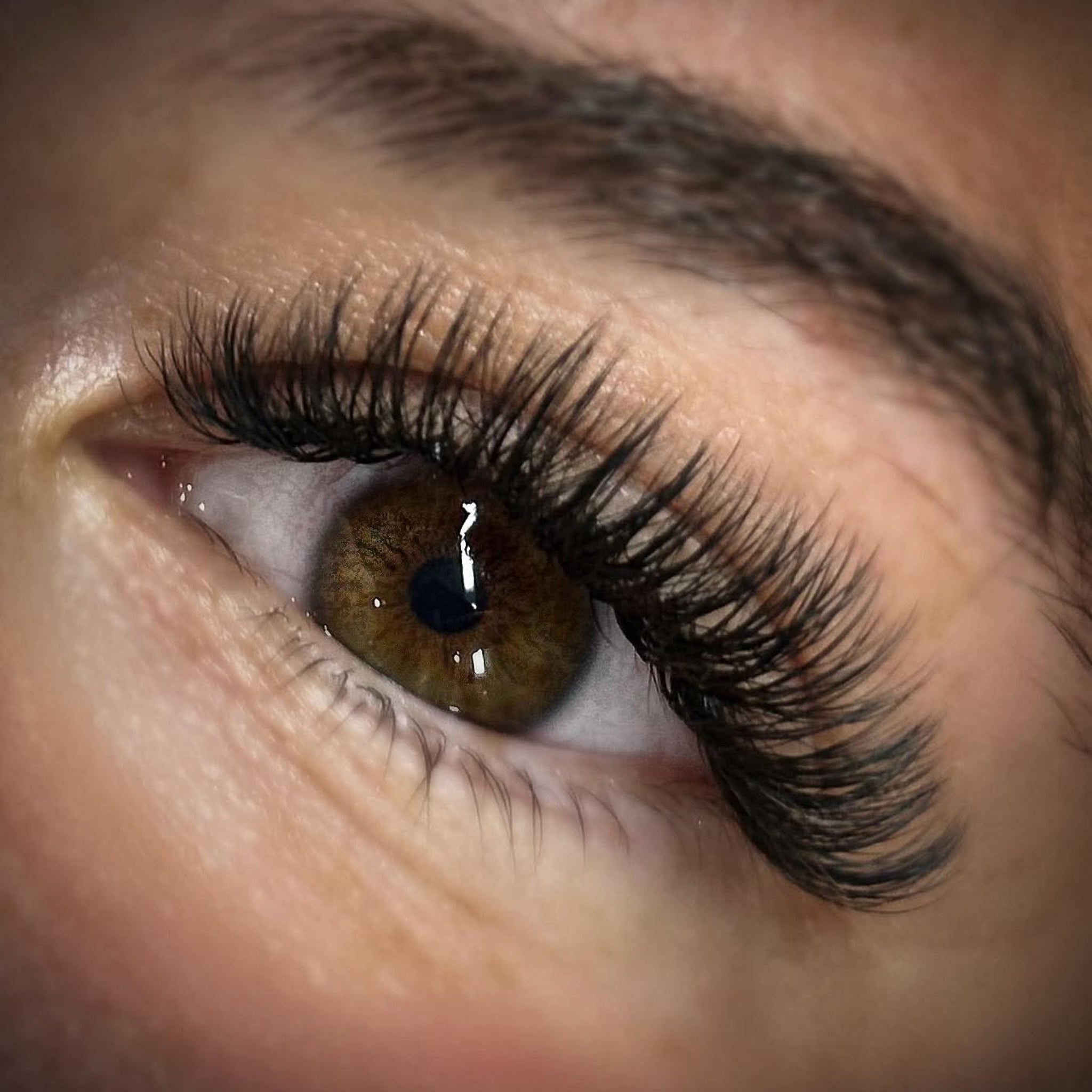 ladybuglashes lashglue lashtrays lashadhesive glueretention cloverlashes wlashes yylashes premades promades lashes