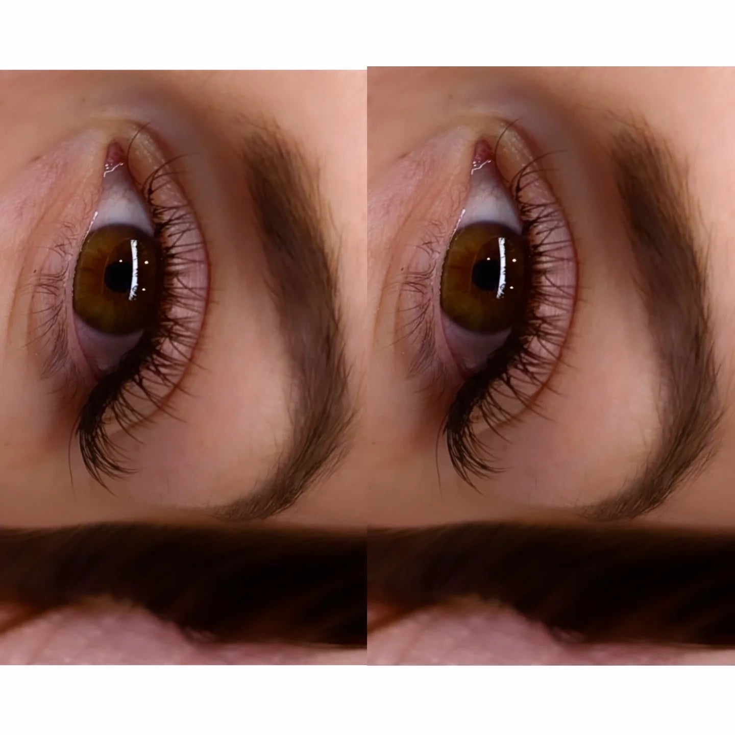 Close-up of a brown eye with eyelashes and eyebrows.