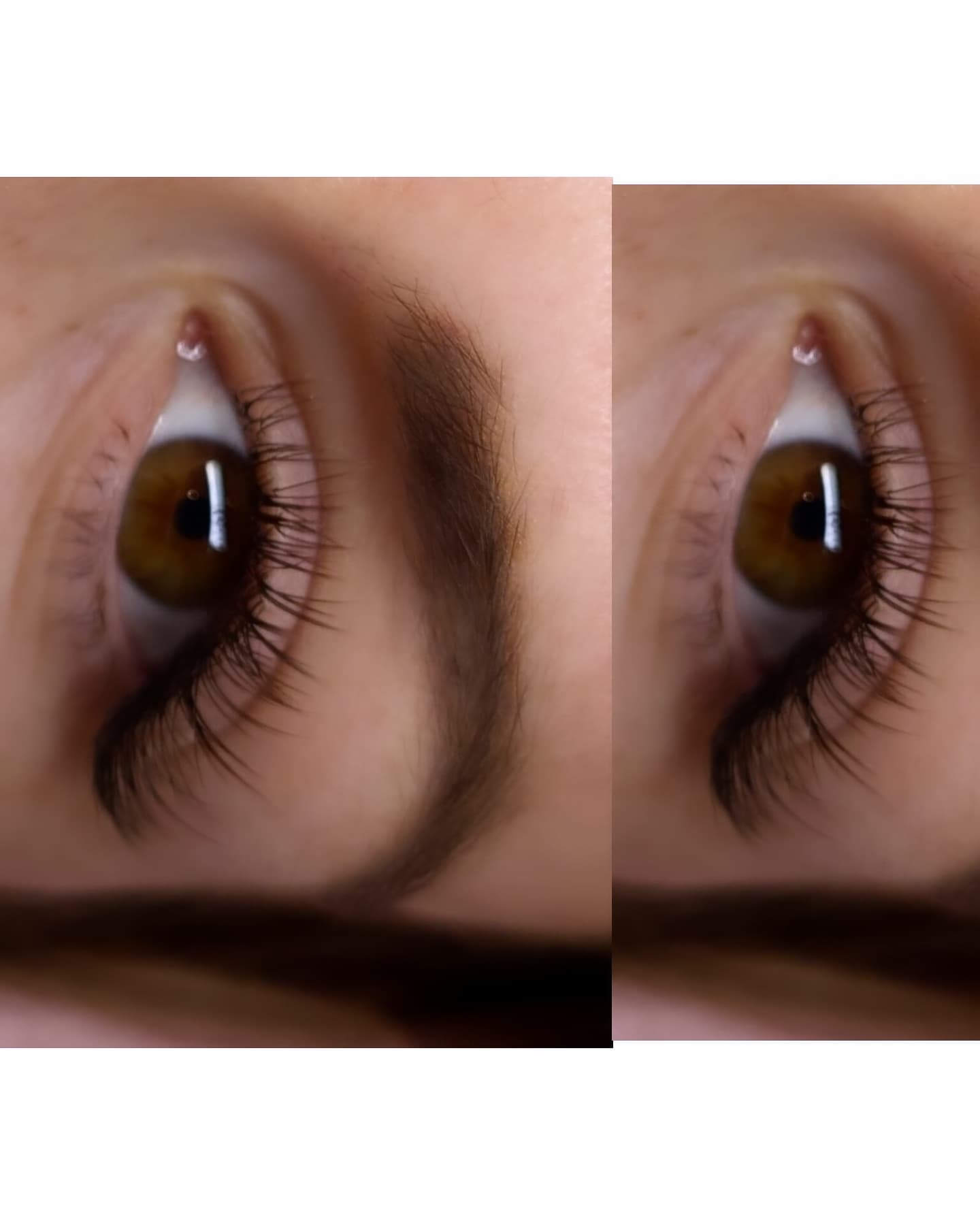 Close-up of a brown eye with eyelashes on a white background.