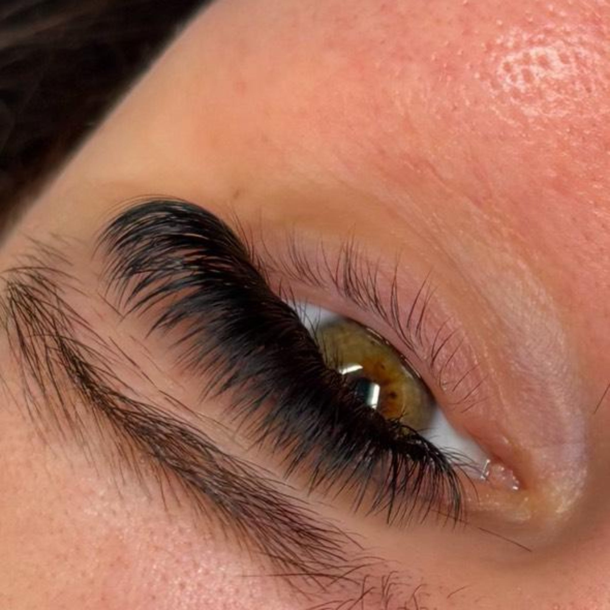 ladybuglashes lashglue lashtrays lashadhesive glueretention cloverlashes wlashes yylashes premades promades lashes