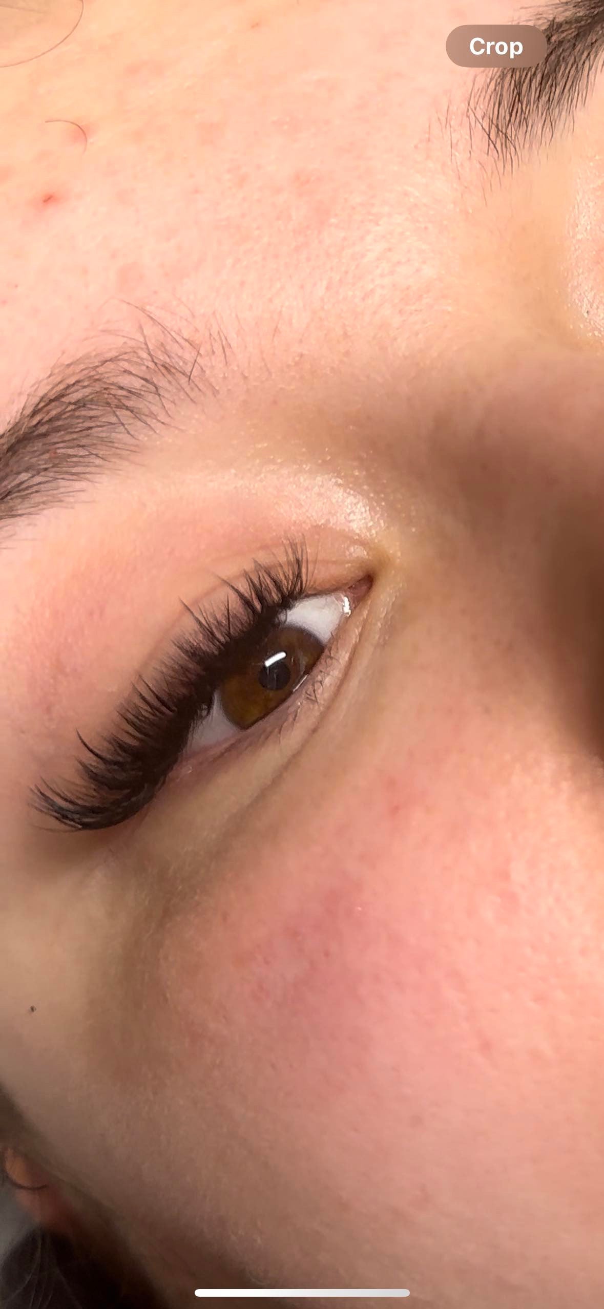 ultra wet look lashes