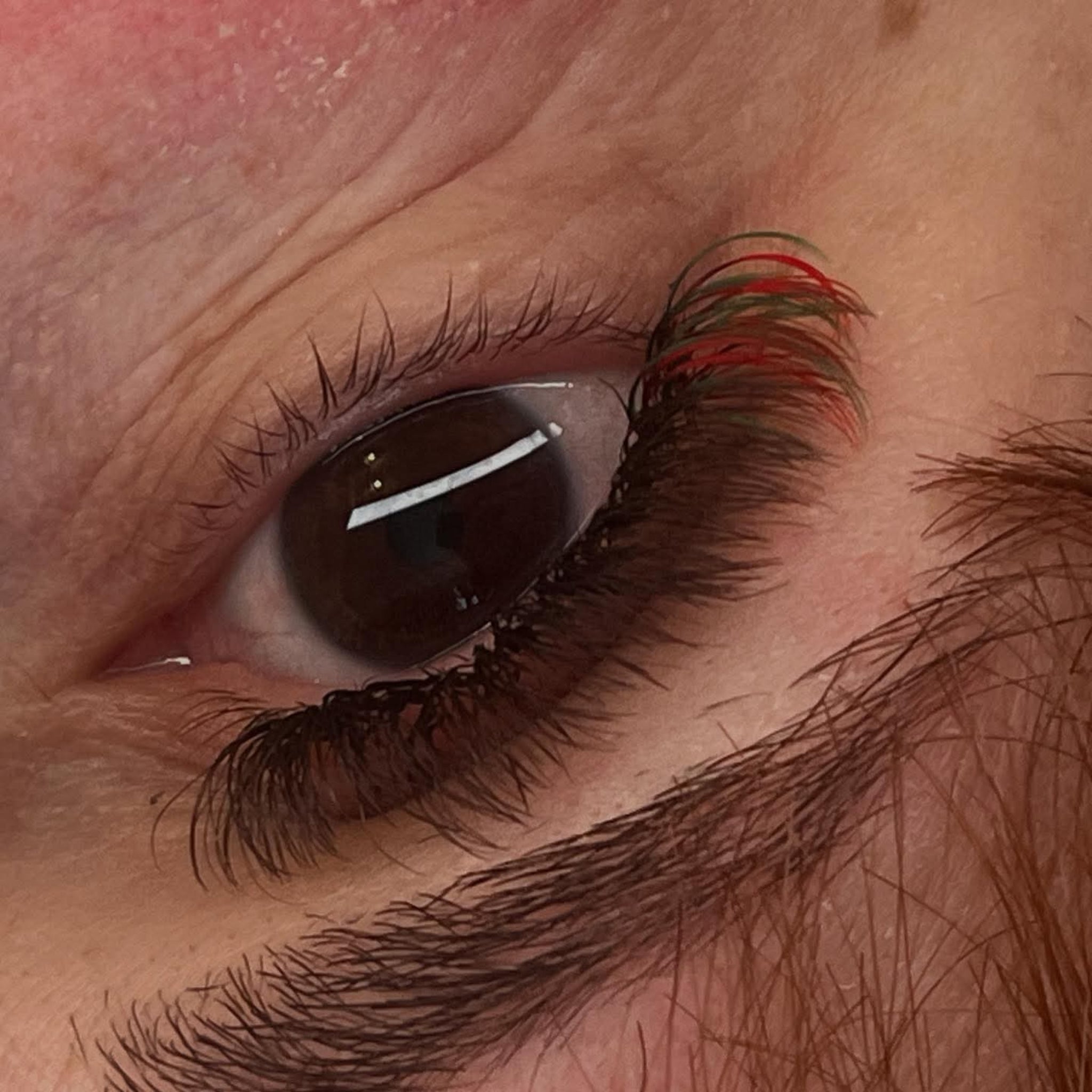 Ladybug Lashes Colour Volume Lashes application result extreme close-up showing open dark brown eye of a fair-skinned client wearing black volume lash extensions with red colour tips at the outer corner from diagonal angle